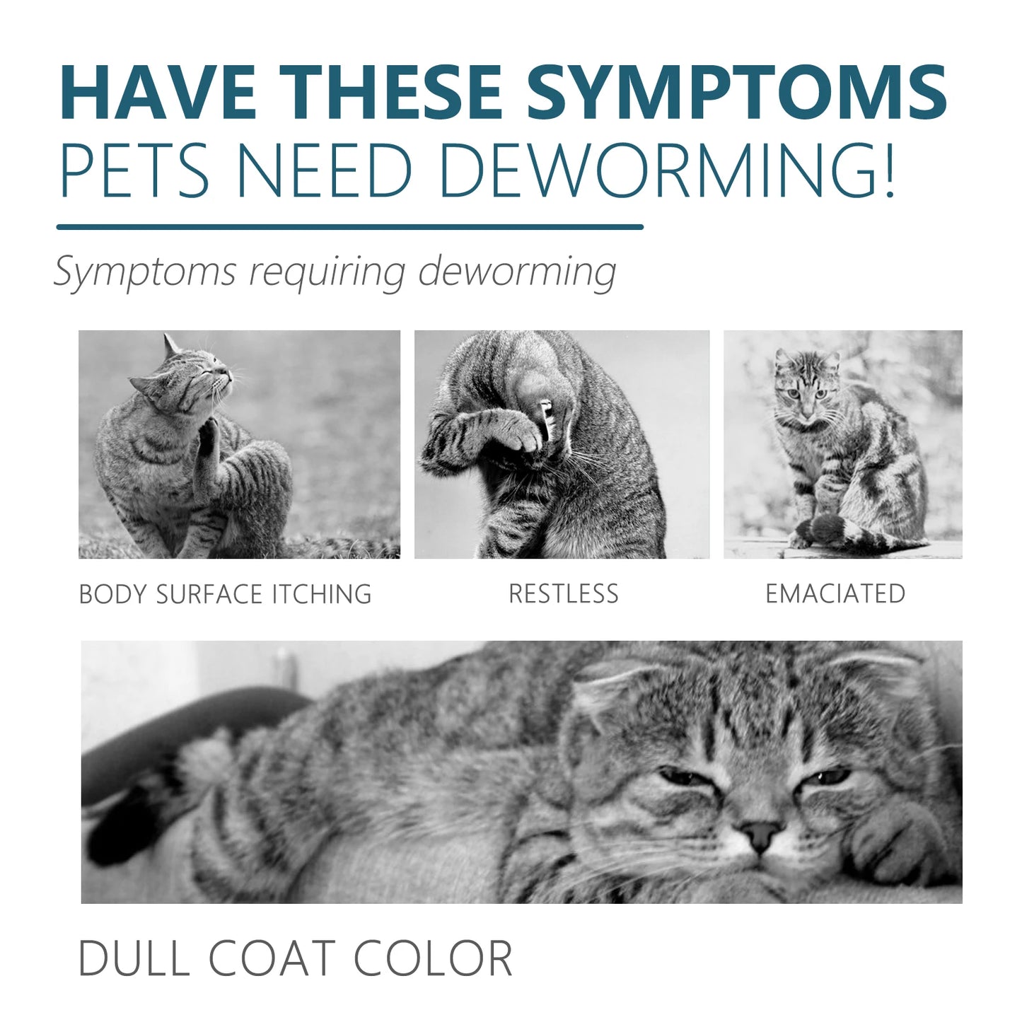 Pet Flea & Tick Drops – Natural Formula, Easy Spot-On Application, Up to 6 Months Protection for Dogs & Cats