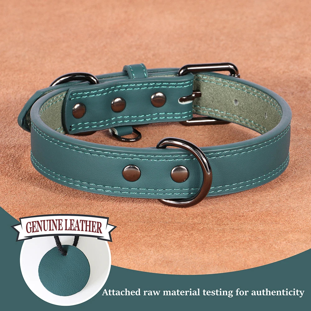 4G GPS Tracker + Genuine Leather Collar Bundle – Track, Style & Protect Your Dog