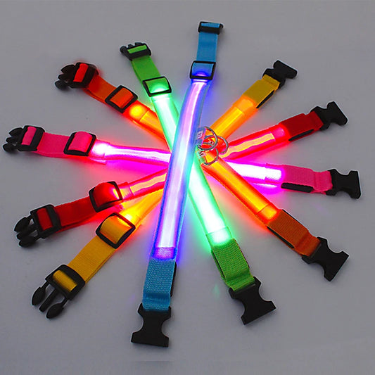 LED Glow Dog Collar | USB Rechargeable Night Safety Collar for Dogs & Cats
