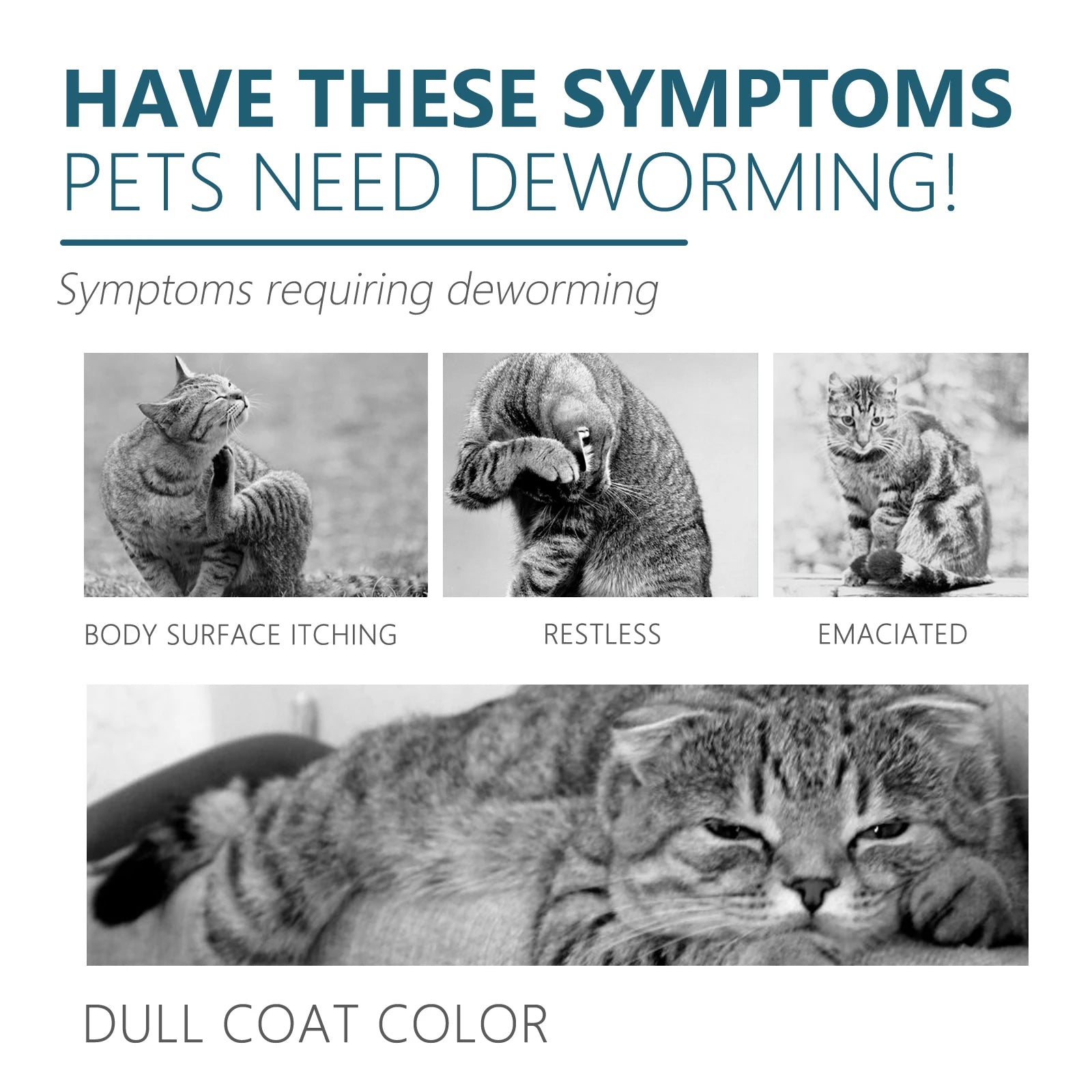 Pet Flea & Tick Drops – Natural Formula, Easy Spot-On Application, Up to 6 Months Protection for Dogs & Cats