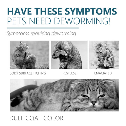 Pet Flea & Tick Drops – Natural Formula, Easy Spot-On Application, Up to 6 Months Protection for Dogs & Cats