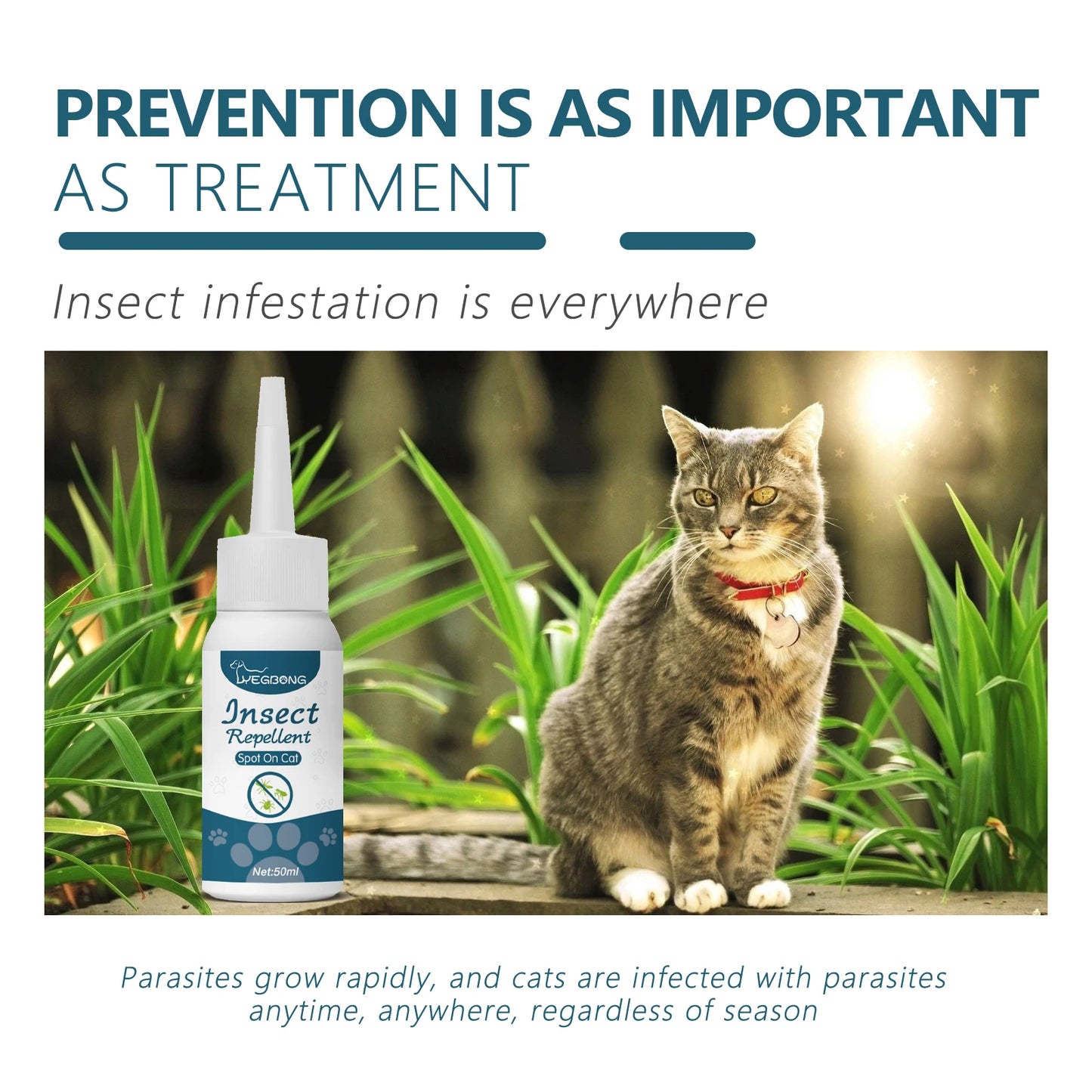 Pet Flea & Tick Drops – Natural Formula, Easy Spot-On Application, Up to 6 Months Protection for Dogs & Cats