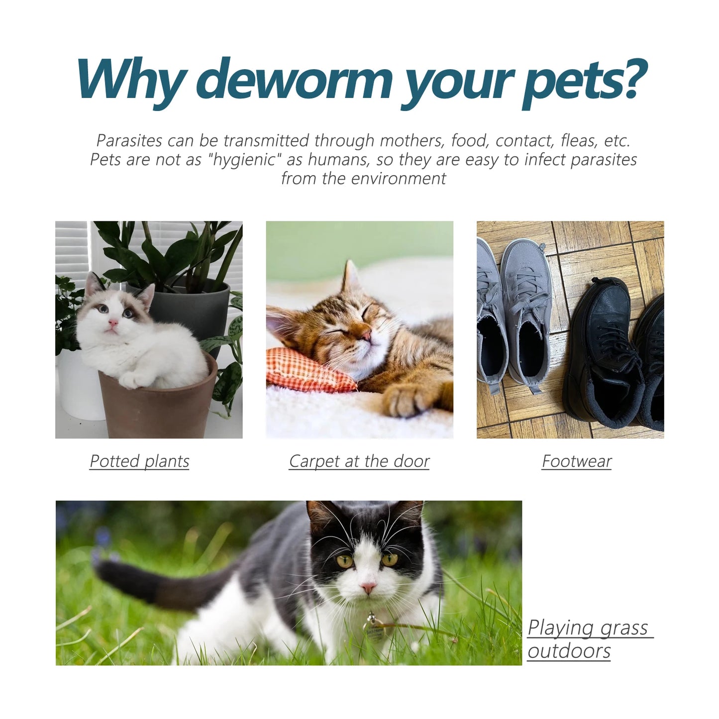 Pet Flea & Tick Drops – Natural Formula, Easy Spot-On Application, Up to 6 Months Protection for Dogs & Cats