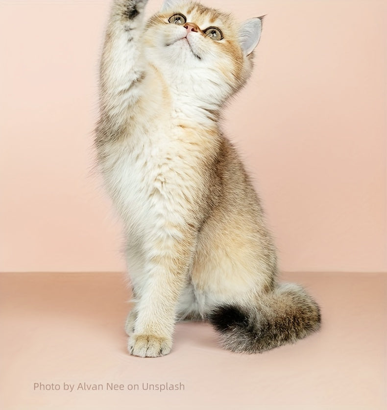 Professional Pet Grooming Clippers | Quiet & Safe | Dogs & Cats