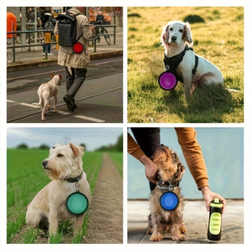 Foldable Pet Travel Bowl 5-Pack | 350ml | Budget-Friendly Pet Essentials