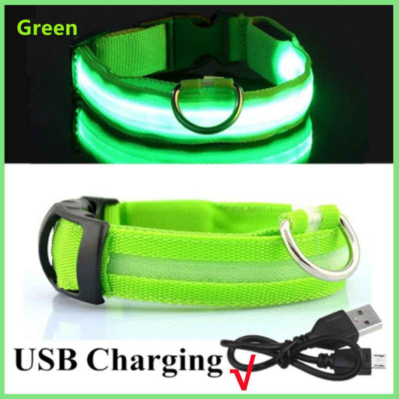 LED Glow Dog Collar | USB Rechargeable Night Safety Collar for Dogs & Cats