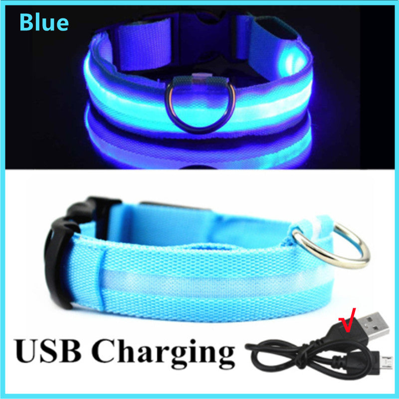 LED Glow Dog Collar | USB Rechargeable Night Safety Collar for Dogs & Cats