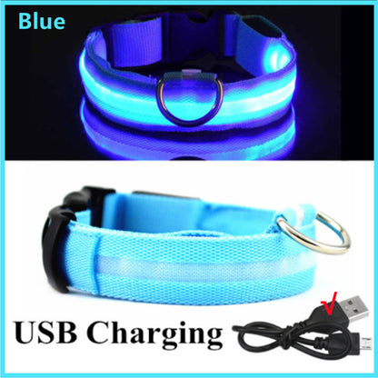 LED Glow Dog Collar | USB Rechargeable Night Safety Collar for Dogs & Cats