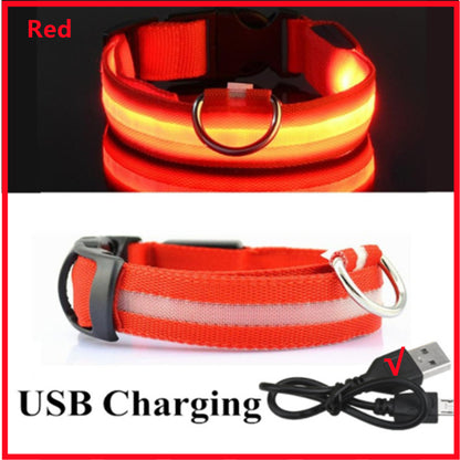 LED Glow Dog Collar | USB Rechargeable Night Safety Collar for Dogs & Cats