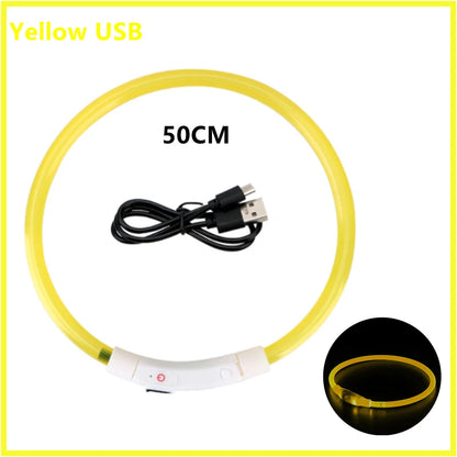 LED Glow Dog Collar | USB Rechargeable Night Safety Collar for Dogs & Cats