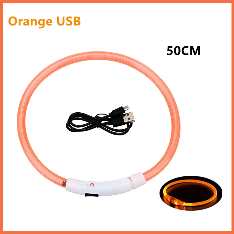 LED Glow Dog Collar | USB Rechargeable Night Safety Collar for Dogs & Cats