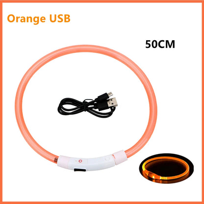 LED Glow Dog Collar | USB Rechargeable Night Safety Collar for Dogs & Cats