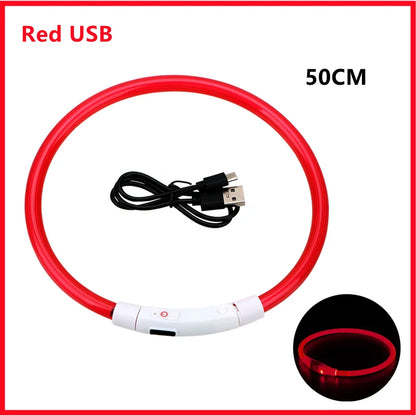 LED Glow Dog Collar | USB Rechargeable Night Safety Collar for Dogs & Cats