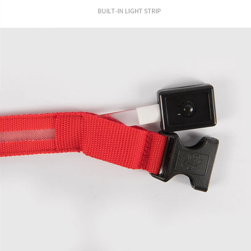 LED Glow Dog Collar | USB Rechargeable Night Safety Collar for Dogs & Cats