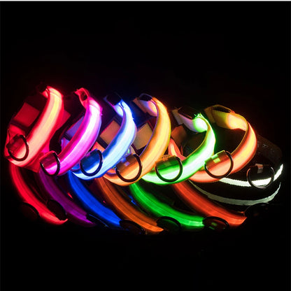 LED Glow Dog Collar | USB Rechargeable Night Safety Collar for Dogs & Cats