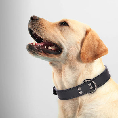 Genuine Leather Dog Collar – Soft, Durable & Built to Last | S–XL
