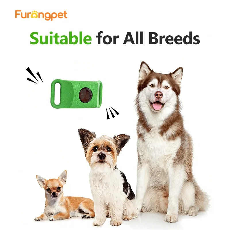 Natural Flea & Tick Repellent Tag for Dogs & Cats | 12-Month Protection | Vet Recommended