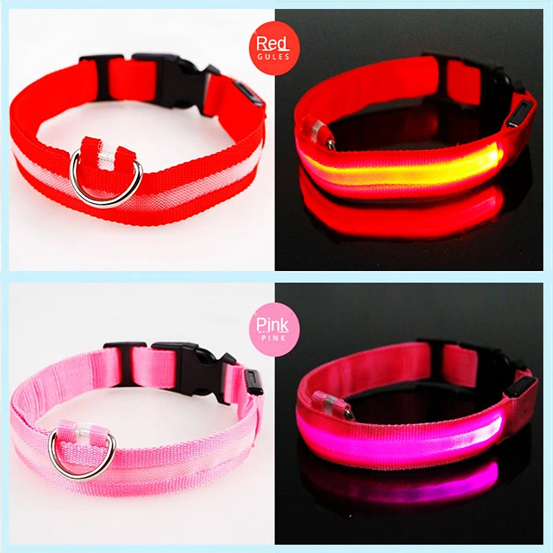 LED Glow Dog Collar | USB Rechargeable Night Safety Collar for Dogs & Cats