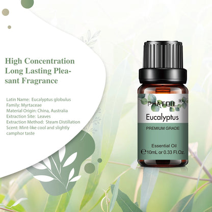Pure Essential Oil 10ml | Aromatherapy | 35+ Scents Available