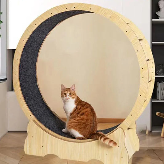 Cat Exercise Running Wheel Mat | Scratch Pad for Indoor Cat Health & Fitness