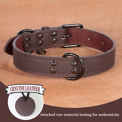 Genuine Leather Dog Collar – Soft, Durable & Built to Last | S–XL