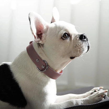 Genuine Leather Dog Collar – Soft, Durable & Built to Last | S–XL
