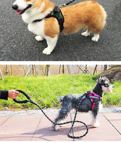 Reflective Dog Leash with Padded Foam Grip | 0.8cm–1.2cm Rope | 120–300cm