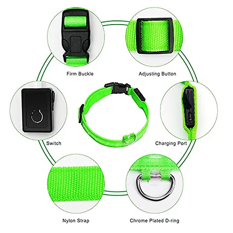 LED Glow Dog Collar | USB Rechargeable Night Safety Collar for Dogs & Cats