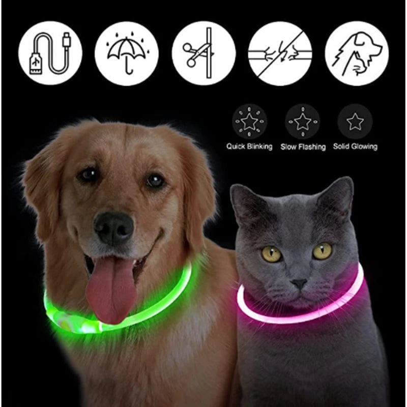 LED Glow Dog Collar | USB Rechargeable Night Safety Collar for Dogs & Cats