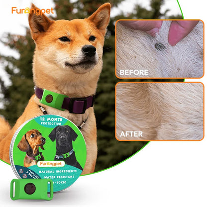 Natural Flea & Tick Repellent Tag for Dogs & Cats | 12-Month Protection | Vet Recommended