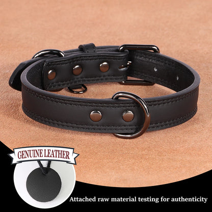 Genuine Leather Dog Collar – Soft, Durable & Built to Last | S–XL