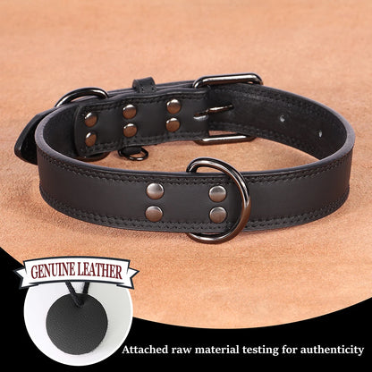 Genuine Leather Dog Collar – Soft, Durable & Built to Last | S–XL