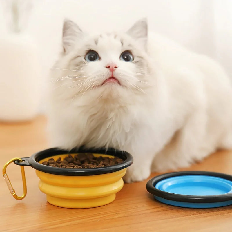 Foldable Pet Travel Bowl 5-Pack | 350ml | Budget-Friendly Pet Essentials