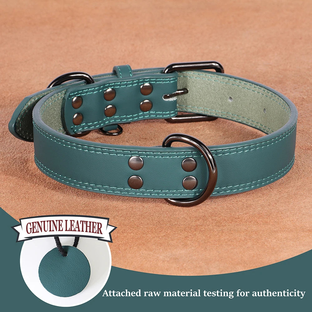 Genuine Leather Dog Collar – Soft, Durable & Built to Last | S–XL
