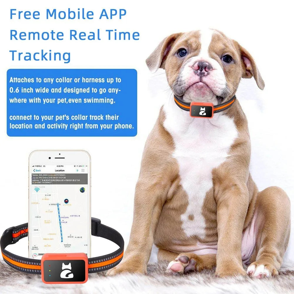 4G Smart GPS Tracker for Small Dogs & Cats – Lightweight Pet Locator with Health Monitor