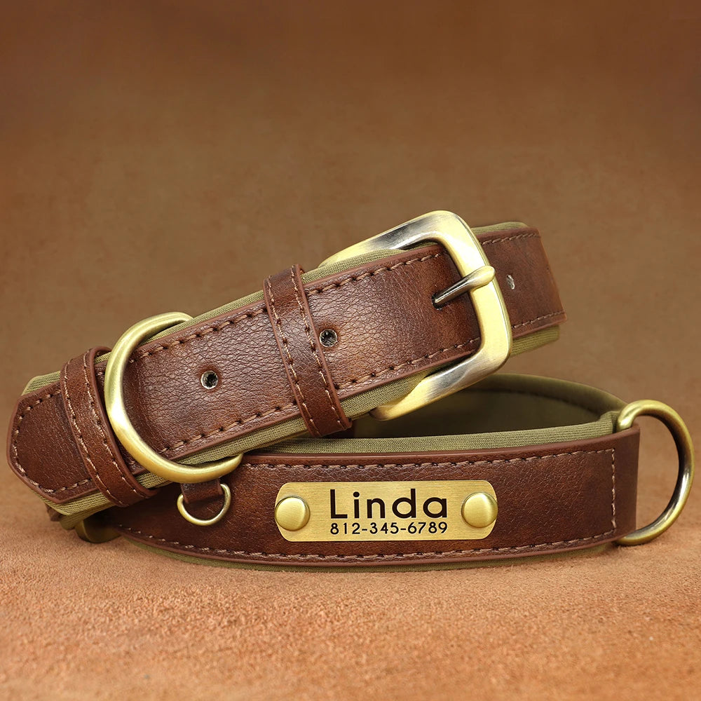 Personalized PU Leather Dog Collar – Custom Name Engraved, Soft Padded | XS–XL
