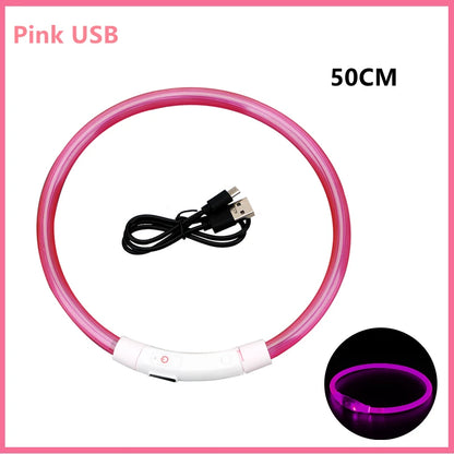 LED Glow Dog Collar | USB Rechargeable Night Safety Collar for Dogs & Cats