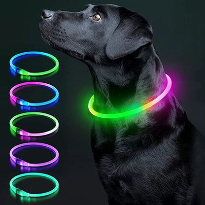 LED Glow Dog Collar | USB Rechargeable Night Safety Collar for Dogs & Cats