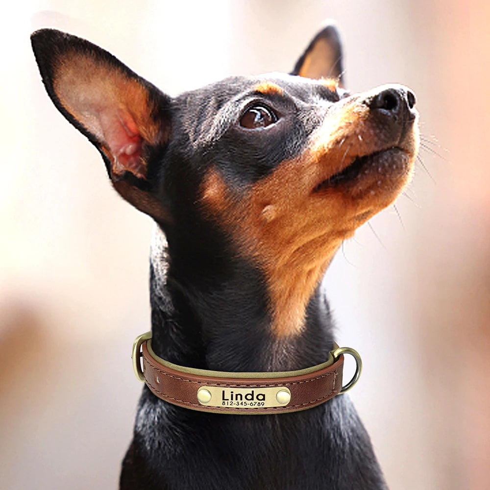 Personalized PU Leather Dog Collar – Custom Name Engraved, Soft Padded | XS–XL