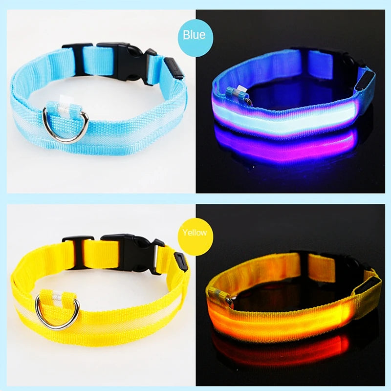 LED Glow Dog Collar | USB Rechargeable Night Safety Collar for Dogs & Cats