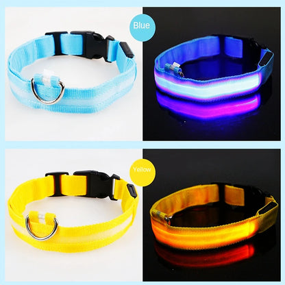 LED Glow Dog Collar | USB Rechargeable Night Safety Collar for Dogs & Cats