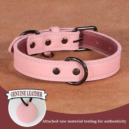 Genuine Leather Dog Collar – Soft, Durable & Built to Last | S–XL