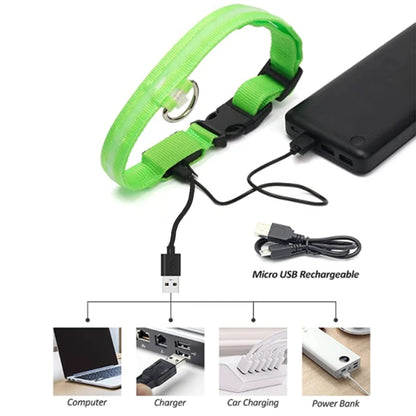 LED Glow Dog Collar | USB Rechargeable Night Safety Collar for Dogs & Cats