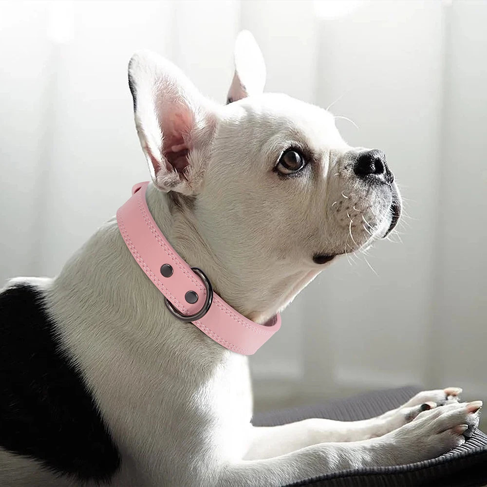 Genuine Leather Dog Collar – Soft, Durable & Built to Last | S–XL