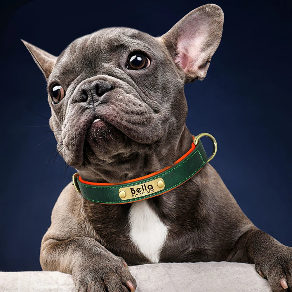 Personalized PU Leather Dog Collar – Custom Name Engraved, Soft Padded | XS–XL