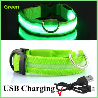 LED Glow Dog Collar | USB Rechargeable Night Safety Collar for Dogs & Cats
