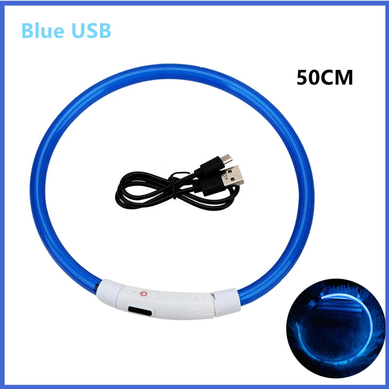LED Glow Dog Collar | USB Rechargeable Night Safety Collar for Dogs & Cats