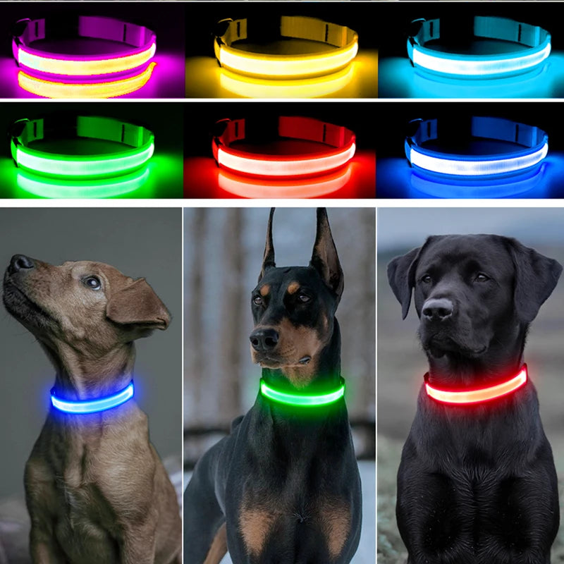 LED Glow Dog Collar | USB Rechargeable Night Safety Collar for Dogs & Cats