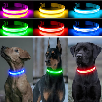 LED Glow Dog Collar | USB Rechargeable Night Safety Collar for Dogs & Cats