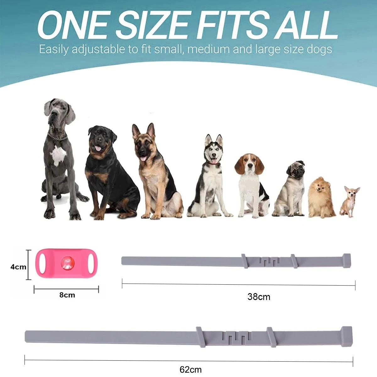 Natural Flea & Tick Repellent Tag for Dogs & Cats | 12-Month Protection | Vet Recommended